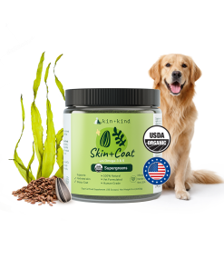 Healthy Skin+Coat Supplement